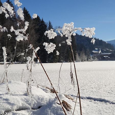 Griesbachhof-Wilder Kaiser Oberndorf in Tirol Exteriér fotografie