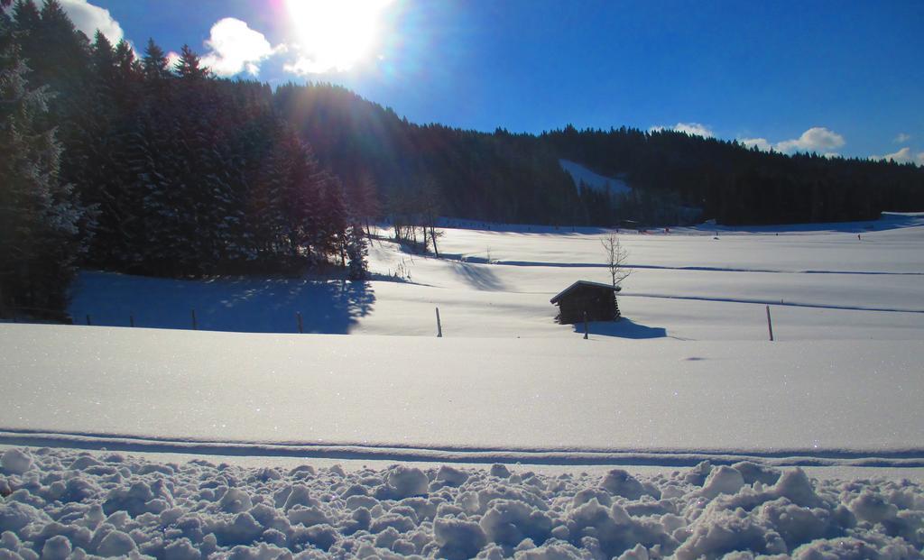 Griesbachhof-Wilder Kaiser Oberndorf in Tirol Exteriér fotografie
